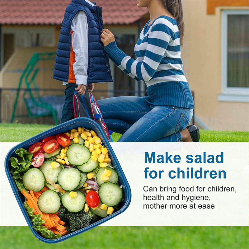 Di Động Salad Ăn Trưa Đựng Sal - đánh giá và giá Food Storage With Compartments