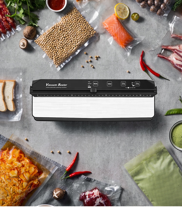 Electric Home Professional Foo - đánh giá và giá Food Storage Vacuum Pump