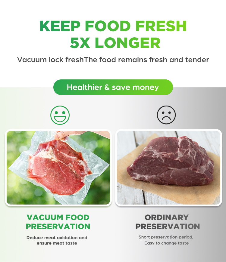 Electric Home Professional Foo - đánh giá và giá Food Storage Vacuum Pump