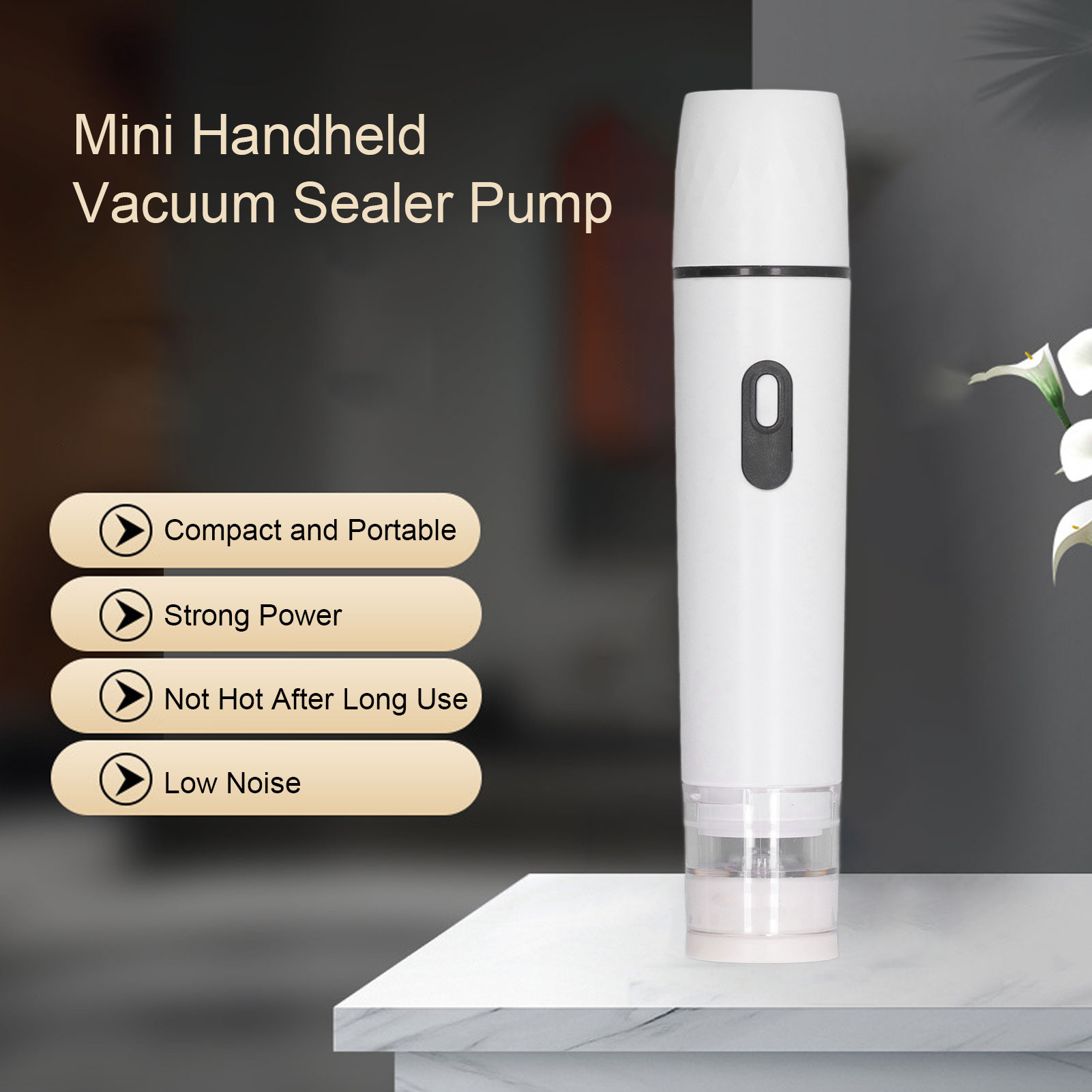 Electric Air Pump Handheld Vac - đánh giá và giá Food Storage Machine
