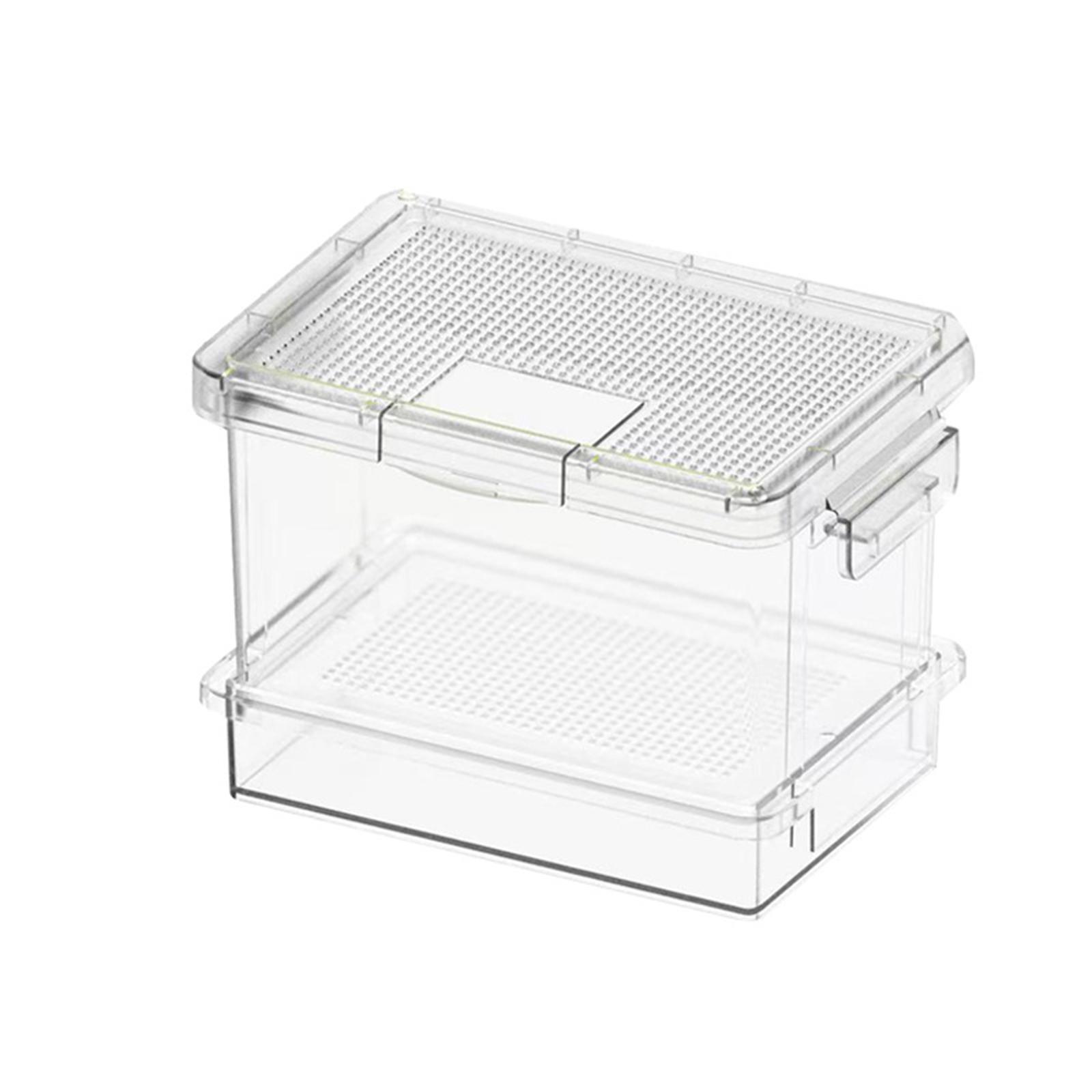 Plastic Turtle Feeder Reptile  - đánh giá và giá Food Storage Plastic Boxes